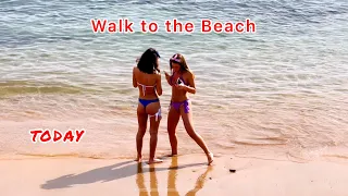 Walk to the Beach. Today. Tenerife 4K