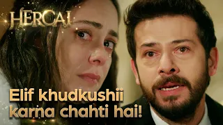 Kya Azat, Elif ko bacha sakega? - Hercai Urdu Episode 119