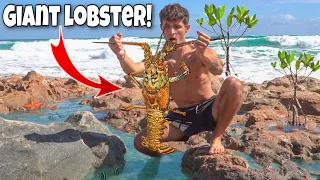 Catching EXOTIC SEA CREATURES Out Of TIDE POOLS For My SALTWATER POND!!