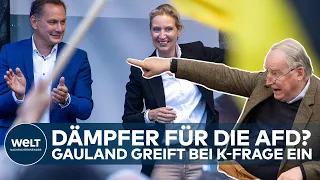 GAULAND PFEIFT WEIDEL UND CHRUPALLA ZURÜCK: Ex-Parteichef der AfD greift bei der Kanzlerfrage ein