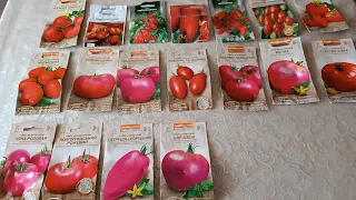 Огляд насіння низькорослих томатів на сезон 2023