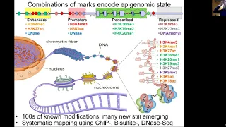 MIT Deep Learning Genomics - Lecture 6 - Regulatory Genomics (Spring 2020)