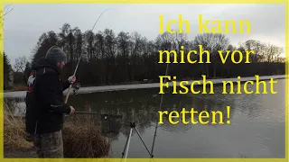 Angeln auf Friedfisch im Frühjahr