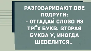 Отгадай слово из трех букв, вторая "у" иногда шевелится. Смех! Юмор! Позитив!