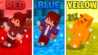 COLOR or DIE in Minecraft