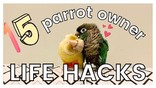 15 PARROT OWNER LIFE HACKS