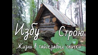 Жизнь в тайге.Забыл спички! Изба "Глухариная" строительство