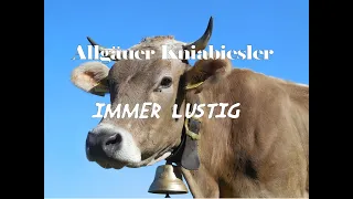 Immer lustig - Schnellpolka - Allgäuer Kniabiesler - Volksmusik aus Rammingen