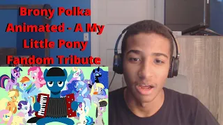 (Blind Reaction) Brony Polka Animated - A My Little Pony Fandom Tribute