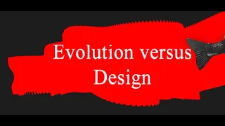 Evolution versus design. Жизнь на земле как совершенствовалась или кем?
