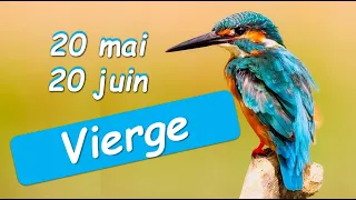 ♍️ VIERGE - 20 mai au 20 juin