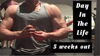 Road to classic physique ep10 | Bodybuilder day in the life | 5 weeks out