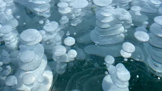 Ice Bubbles at Abraham Lake