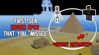 *6 HIDDEN NPCS* in the First Sea that you have "Missed" Blox Fruits