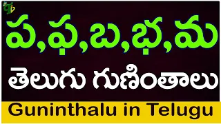 ప ఫ బ భ మ గుణింతాలు | Pa Pha Ba Bha Ma guninthalu |How to write Telugu varnamala guninthalu