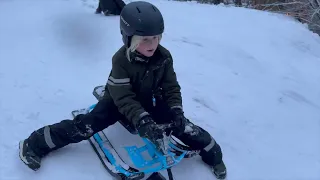 Zack åker pulka i Bromma