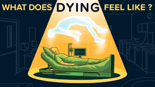 What Does DYING Feel Like?