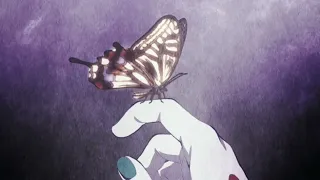 Happiness is a butterfly (speed up)
