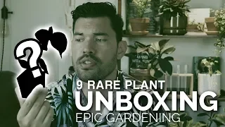 I've Been Trying to Get This Plant for a YEAR! Rare Houseplant Unboxing