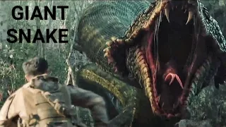 CHINESE MONSTER SNAKE movie explained in hindi