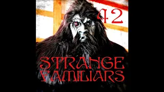 Episode 42: Paranormal Bigfoot with Strange Brau