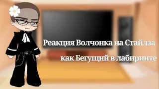 Реакция Волчонка на Стайлза как Бегущий в лабиринте