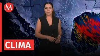 El clima para hoy 5 de febrero de 2024, con Marilú Kaufman