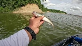 Fishing At Deer Creek Lake Ohio full video