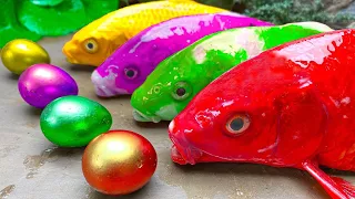 Stop Motion ASMR - Look for colorful goldfish, eels, crocodiles, giant crabs Primitive Cooking 4K