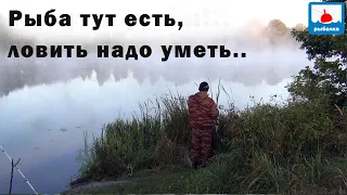 Поймать крупного линя, карпа и щуку! Тут рыбу просто так не поймать!