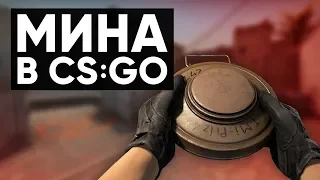 Сильвер Катка | МИНА В CS:GO #24