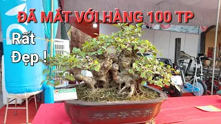 CHIÊM NGƯỠNG giàn cây Bonsai MINI RẤT ĐẸP hàng 100 TP tại TL 30/4 Hải Hậu - NĐ 2024 .