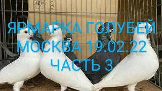 ЯРМАРКА ГОЛУБЕЙ. Москва 19 02 22 часть 3#голуби#ярмарка#голубеводство#выставка#pigeon#tauben