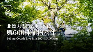 【EngSub】Beijing Couple Live in a 200㎡ Siheyuan together growing over 600 Species of Plant 北京夫妻在家造植物园