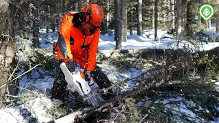 Sähköinen savotta Stihlillä | Metsälehti