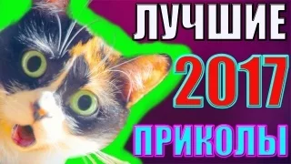 ЛУЧШИЕ ПРИКОЛЫ 2017 Апрель #1 Лучшая Подборка Приколов