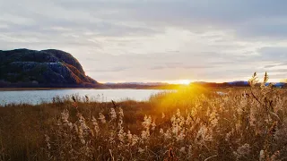 Finding Home -  Ørland kommune