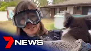 Scottish reporter tricked into wearing protective gear for 'drop bears' | South Australia | 7NEWS