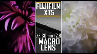 Up Close and Personal - The Fujifilm XF 30mm f/2.8 Macro Lens