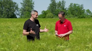 Wintergerste keine Mitläuferkultur - im Gespräch mit Landwirt_in_MV