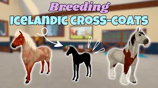 Breeding *ICELANDIC CROSS-COATS!* | Wild Horse Islands