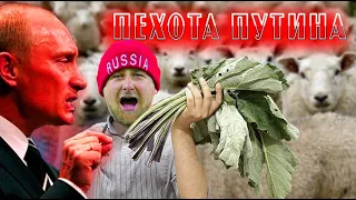 Кадыров и пехотинцы Путина. Кто они? За кого умирают кадыровцы в Украине?