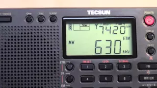 Tecsun PL-380 AM/FM/SW Portable Radio