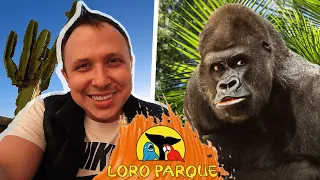 ЛороПарк | Видео из Тенерифе Часть 8 | loro parque