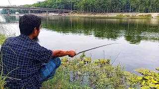 Fish hunter✅ fishing video✅✅ hook fishing🎣🎣 Rohufish catching #fishing #fishingvideo #rohufishing