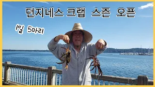 Dungeness  Crab  (던지니스 크랩)  9월까지 Open, 1인당 5마리 잡을수 있어요. (미국 워싱턴주)