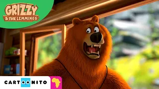 Crazy Lemmings | Grizzy & The Lemmings | Funny Compilation for Kids | Cartoonito Africa