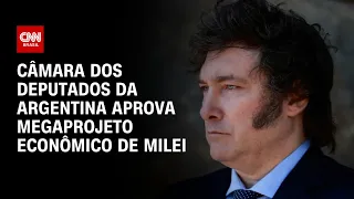 Câmara dos Deputados da Argentina aprova projeto de reforma econômica de Milei | BRASIL MEIO-DIA