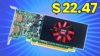 This $20 GPU Dominates Cards Twice The Price!