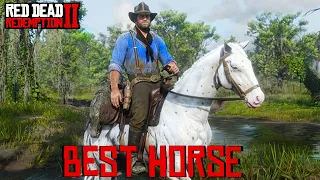 We Ranked Every Red Dead Redemption 2 Horse from WORST to BEST